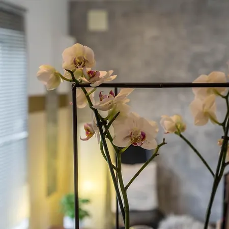 Appartement Vogelvilla